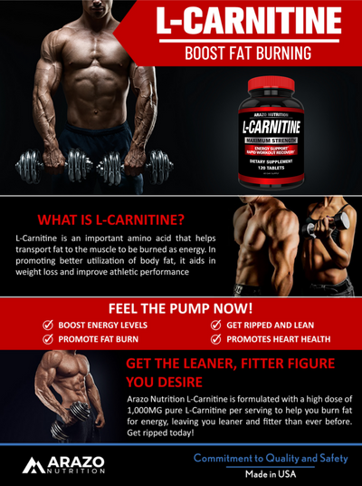 L-Carnitine - Arazo Nutrition L-Carnitine - Arazo Nutrition